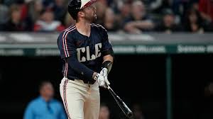 Image result for Frys Badminton Club