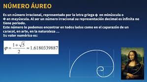 Image result for numero aureo