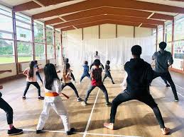 Image result for HEIWA SHOTOKAN KARATE CLUB