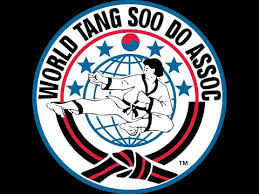 Image result for Absolute tae kwon do association