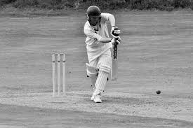 Image result for Grayshott Cricket Club