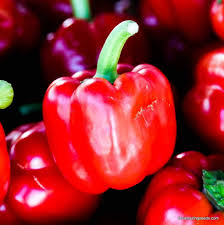 Afbeeldingsresultaat voor california wonder 300 sweet pepper