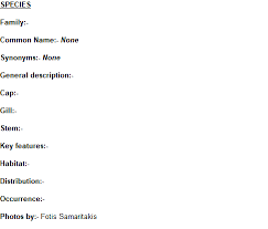 Attēlu rezultāti vaicājumam “Badhamia panicea sessile”