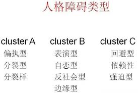 Image result for 人格障碍領域