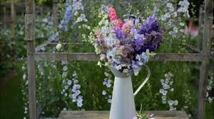 Image result for Delphinium consolida