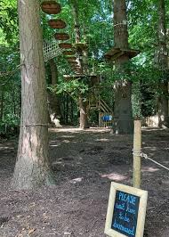 Image result for Go Ape! Leeds Castle