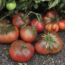 Afbeeldingsresultaat voor brandywine tomato