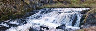 Image result for Annbank Angling Club