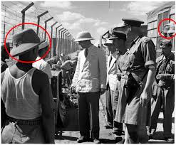 Risultati immagini per privazione della pheega