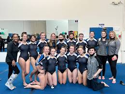 Image result for Hemsworth Odyssey Gymnastics Squad