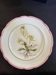 Attēlu rezultāti vaicājumam “Diplotaxis muralis fruit”