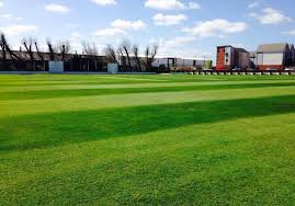 Image result for J & G Meakin Cricket Club