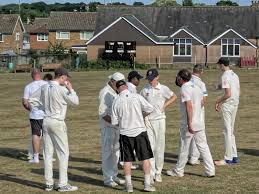 Image result for Chichester Priory Park Cc