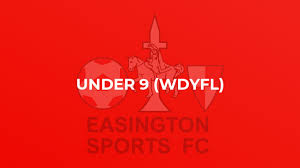 Image result for Easington Sports & Social Club