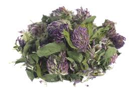 Attēlu rezultāti vaicājumam “Trifolium pratense leaf”