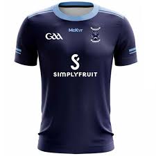 Image result for Ballyhegan Davitts Gaa Club