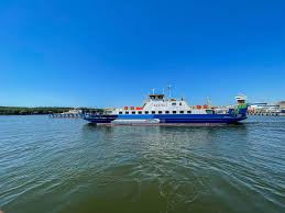 Image result for keltas vilnius