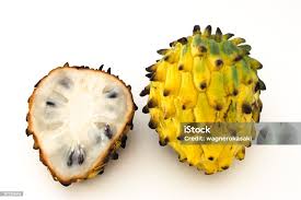 Attēlu rezultāti vaicājumam “Briza media fruit”