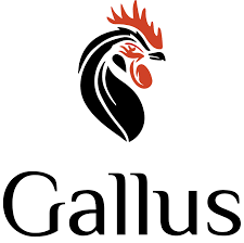 Attēlu rezultāti vaicājumam “Gallus”