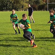 Image result for Alresford Rugby Club