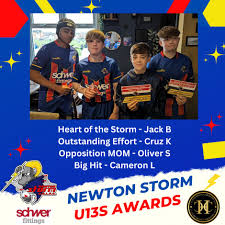 Image result for Newton - Le - Willows A R L F C