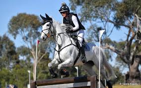 Image result for Jp-Sheffield Eventing
