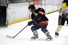 Image result for Cardiff Comets Ladies Ice Hockey