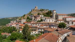 Attēlu rezultāti vaicājumam “Scapania irrigua”