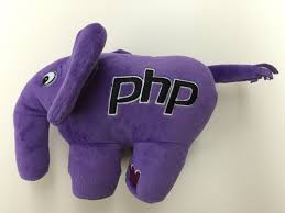 Image result for elephpant