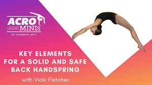 Image result for Elements Acro