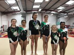 Image result for Bevendean Gymnastic Club