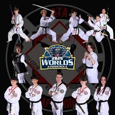 Image result for ATA Martial Arts Maple Ridge