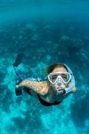 Image result for Leicester Underwater Exploration Club