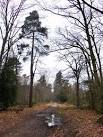Black Park: the south-east corner, not far from Dracula's castle - via Daymix