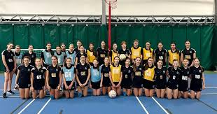 Image result for Wandsworth Netball Club