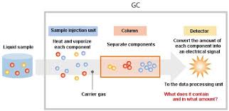 Image result for  g   c O ~