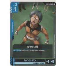 「カイ・キタムラ」の画像検索結果