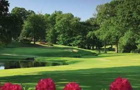 Image result for Stoke Green Cricket Club