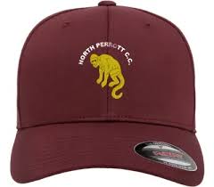 Image result for North Perrott Cc