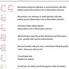 Attēlu rezultāti vaicājumam “undetermined plasmodium”