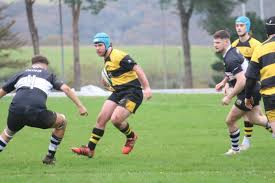 Image result for Pembroke Dock Harlequins RFC