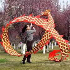 Image result for TRIANGLE CHANGQUAN FLYING DRAGON