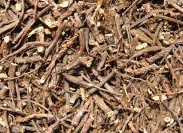 Attēlu rezultāti vaicājumam “Potentilla alba”