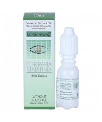 Image result for Cineraria maritima