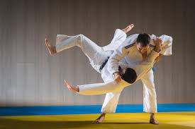 Image result for Solihull Judo Club