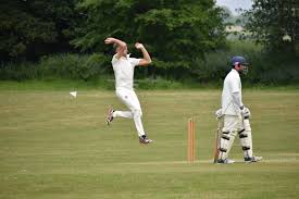 Image result for Capel Cricket Club