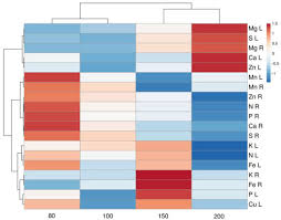 Attēlu rezultāti vaicājumam “Saussurea esthonica leaf”
