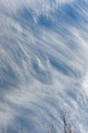 Attēlu rezultāti vaicājumam “Cirrus fibratus”