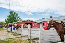 Image result for The Riding Centre