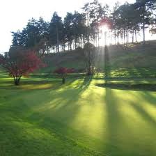 Image result for Hindhead Golf Club